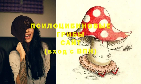 ПСИЛОЦИБИНОВЫЕ ГРИБЫ Арсеньев