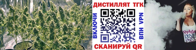 Дистиллят ТГК Wax цена Кубинка