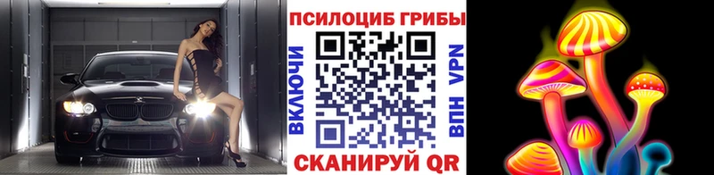 цена наркотик  это какой сайт  Галлюциногенные грибы Cubensis  Кубинка 